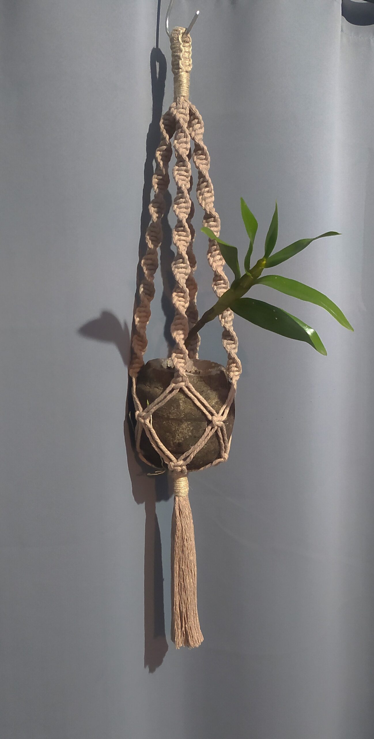 Suporte de Planta em Macramê e Cabaça de Sapucaia com Orquídea - Kit Completo