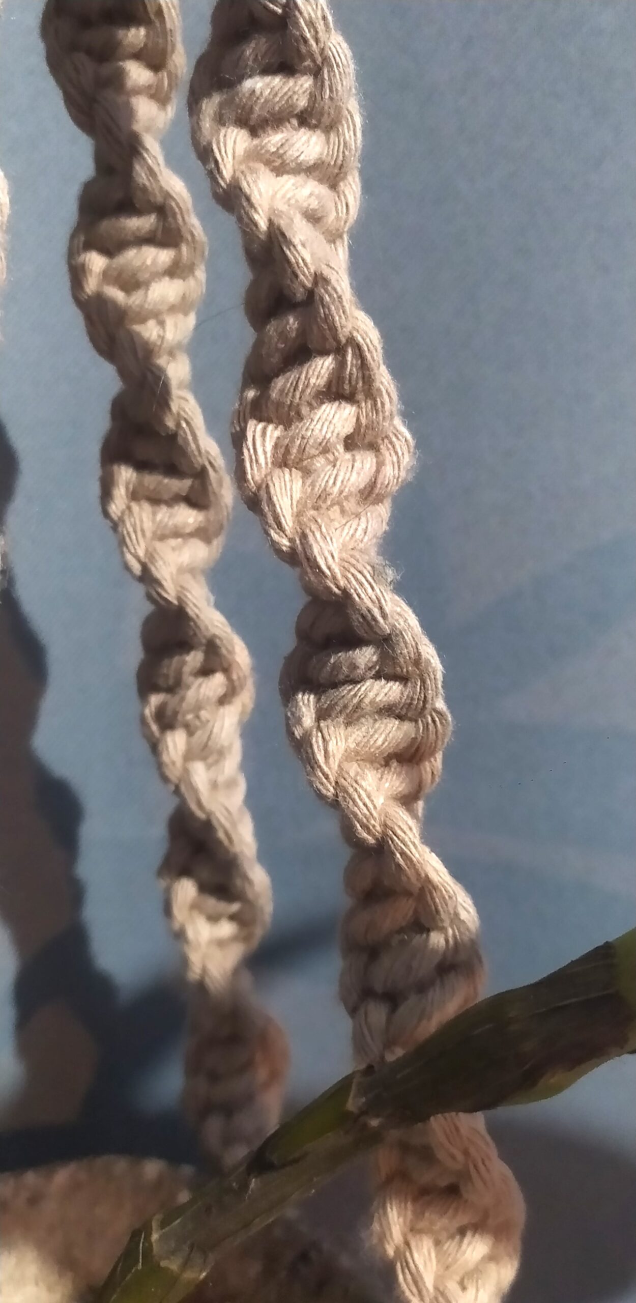 Suporte de Planta em Macramê e Cabaça de Sapucaia com Orquídea - Kit Completo - Imagem 3