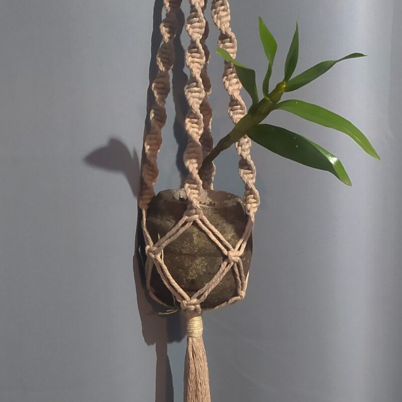 suporte-de-planta-em-macrame-e-cabaca-de-sapucaia-com-orquidea-kit-completo